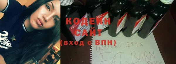 хмурый Новозыбков