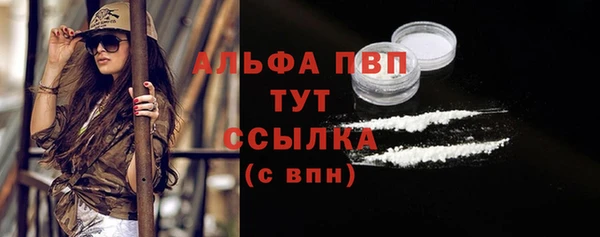 хмурый Новозыбков