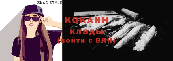 хмурый Новозыбков