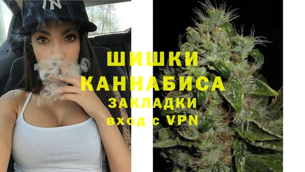 хмурый Новозыбков