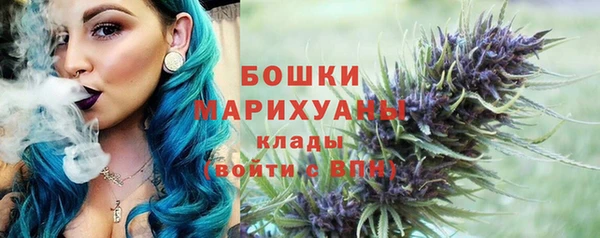 хмурый Новозыбков