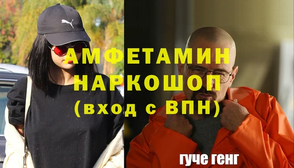 хмурый Новозыбков
