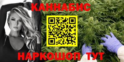 тгк Гатчина