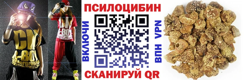 Псилоцибиновые грибы Psilocybe Кировск