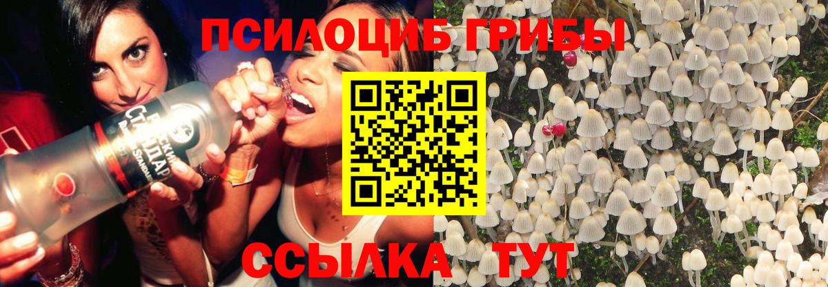 Галлюциногенные грибы GOLDEN TEACHER Кировск
