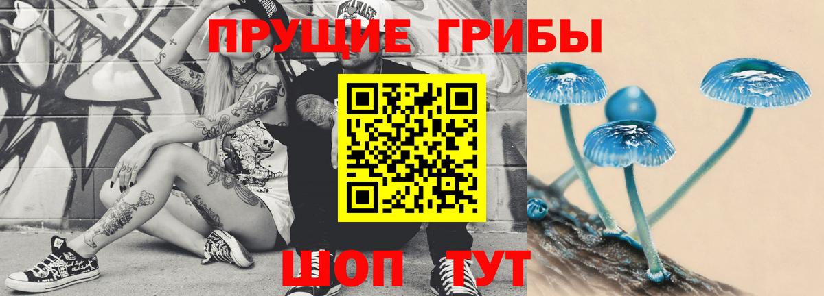 Псилоцибиновые грибы ЛСД  Кировск  Псилоцибиновые грибы Psilocybe 