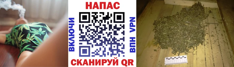 Шишки марихуана сатива Кировск